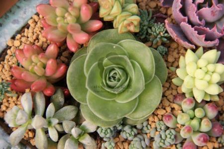 ޵ǵ1 ڹ˹Ǻ˵վݹر